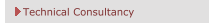 Technical Consultancy